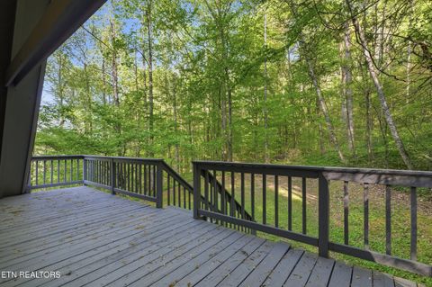 Tiny photo for 313 Domar Drive, Townsend, TN 37882 (MLS # 1338483)
