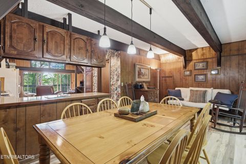 Tiny photo for 313 Domar Drive, Townsend, TN 37882 (MLS # 1338483)