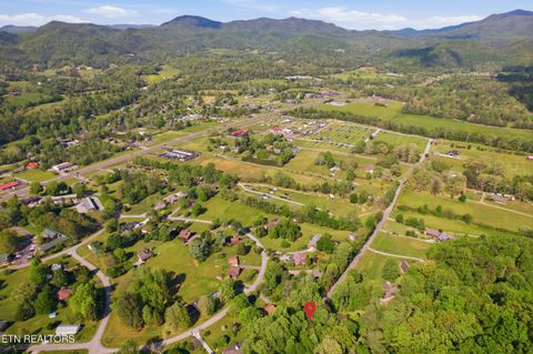 Tiny photo for 313 Domar Drive, Townsend, TN 37882 (MLS # 1338483)