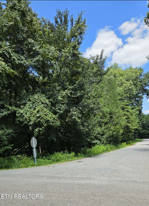 Tiny photo for Carrie Drive, Crossville, TN 38572 (MLS # 1350084)