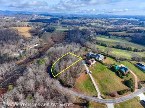 Tiny photo for 77 Shiloh Springs Rd, Rutledge, TN 37861 (MLS # 1324123)