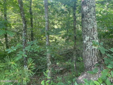 Featured picture for the property 1286027