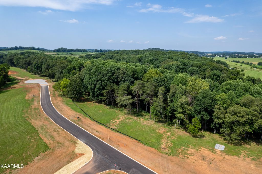 Photo of 12906 Sophie Drive, Greenback, TN 37742 (MLS # 1234325)