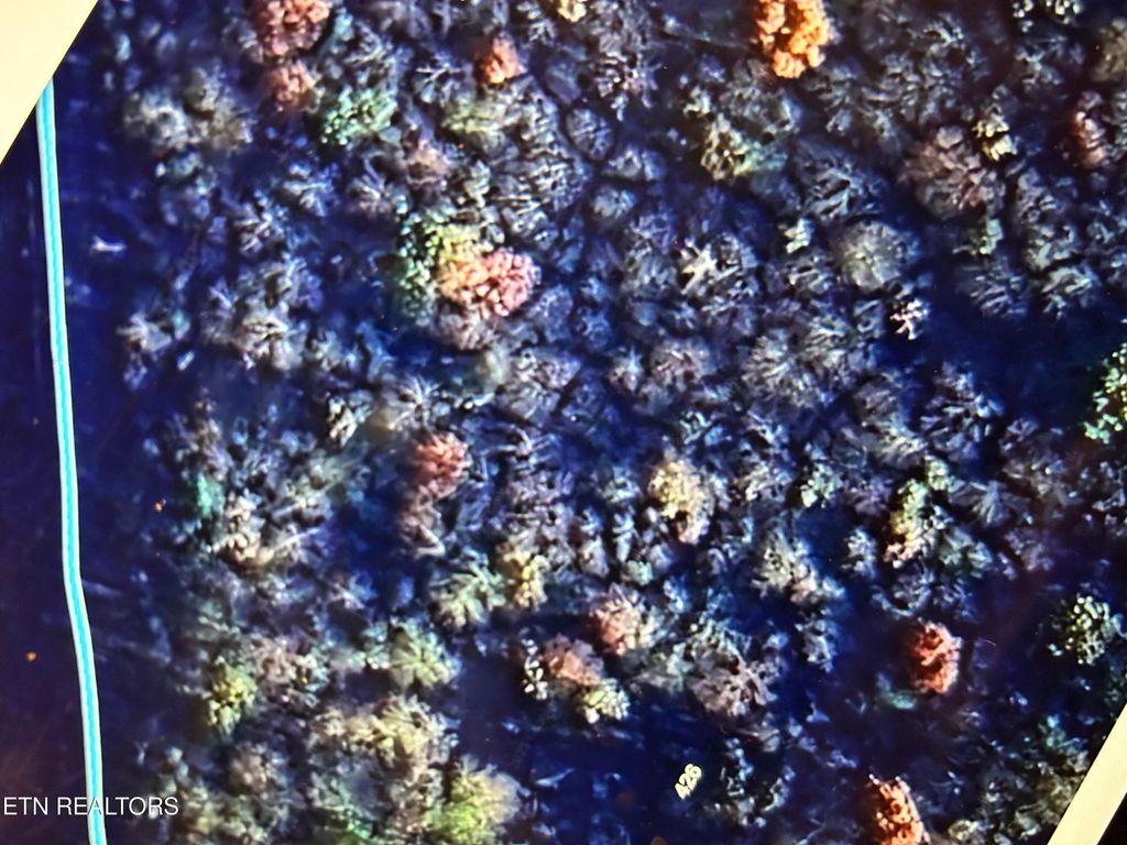 Photo of Poplar Creek Rd, Oliver Springs, TN 37840 (MLS # 1289785)