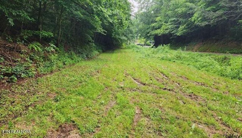 Photo of 4473 Chavis Rd, Cosby, TN 37722 (MLS # 1286961)