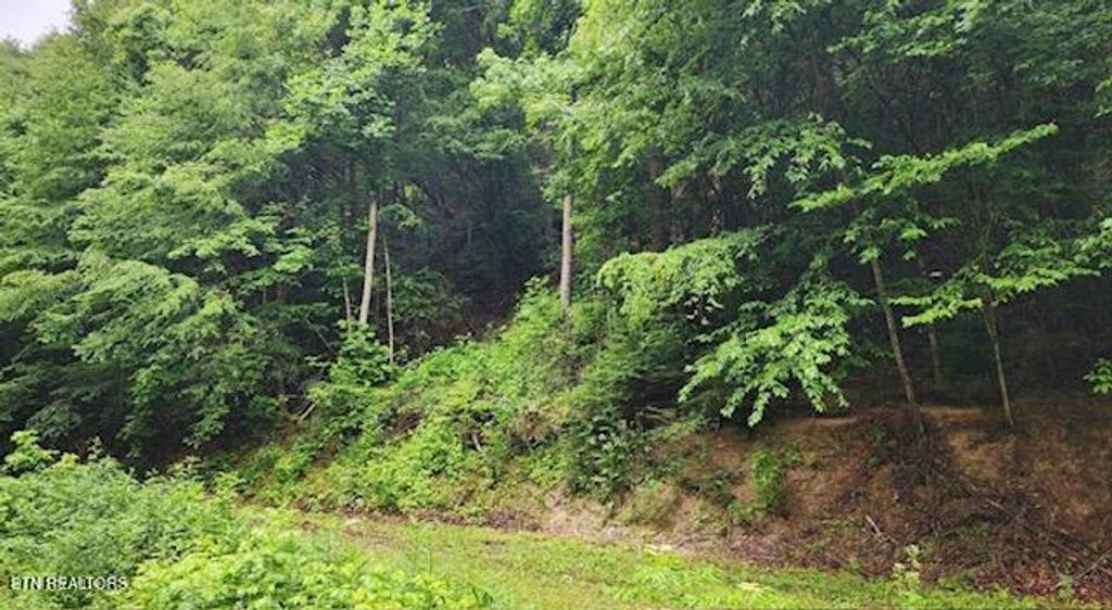 Photo of 4473 Chavis Rd, Cosby, TN 37722 (MLS # 1286961)