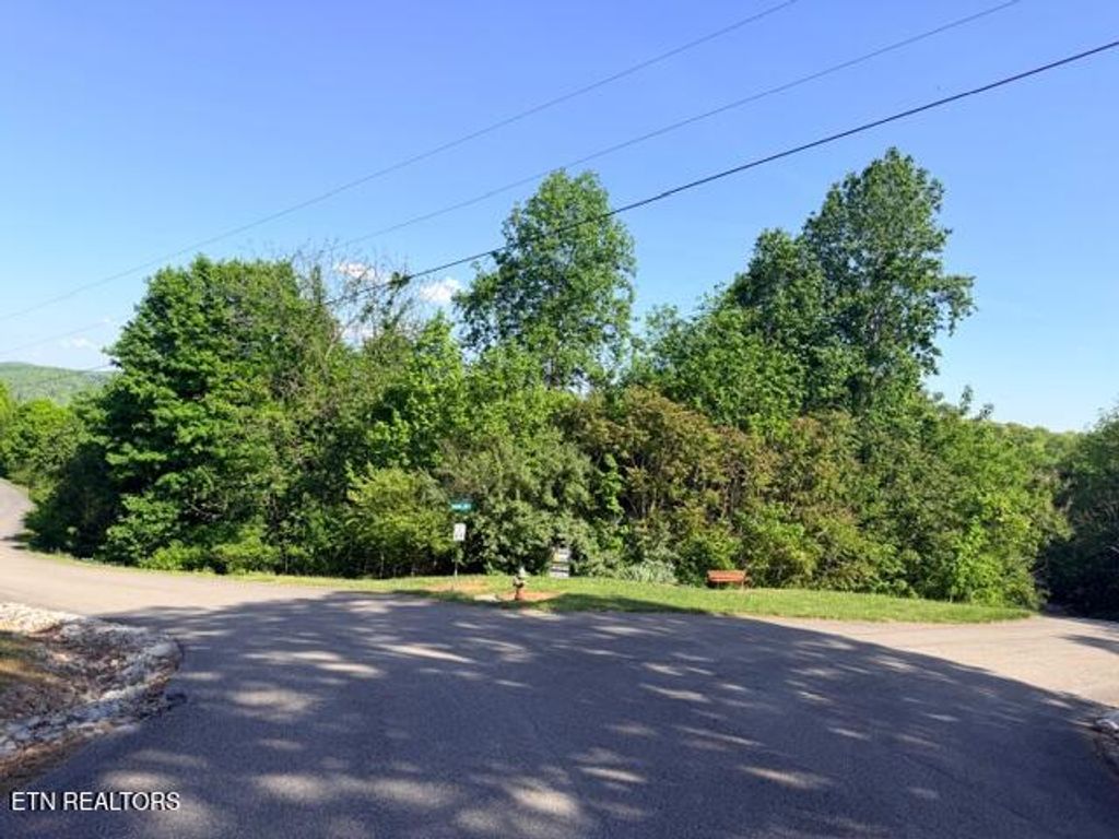 Photo of Shanghai Lake Lane, LaFollette, TN 37766 (MLS # 1339230)