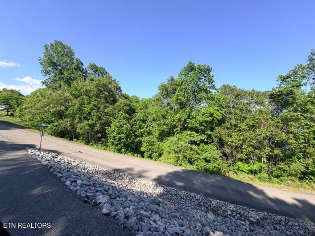 Photo of Shanghai Lake Lane, LaFollette, TN 37766 (MLS # 1339230)