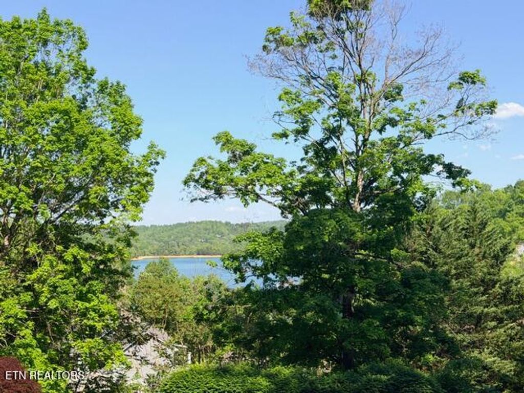 Photo of Shanghai Lake Lane, LaFollette, TN 37766 (MLS # 1339230)