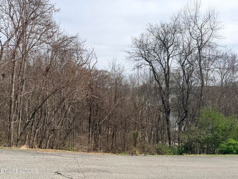 Photo of Shanghai Lake Lane, LaFollette, TN 37766 (MLS # 1339230)