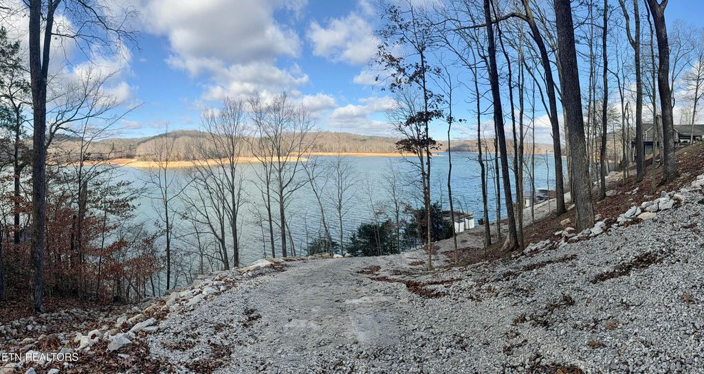 Photo of 256 Hagaman Lane, Andersonville, TN 37705 (MLS # 1324387)