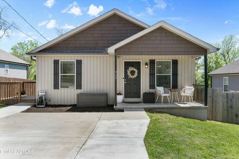 917 Loy St Clinton TN 37716