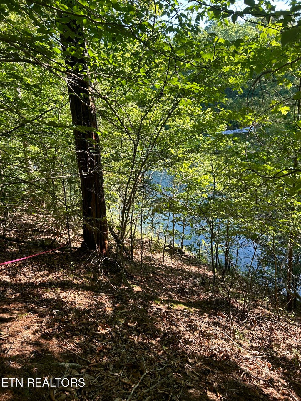 Photo of Ridgeview Circle, Sharps Chapel, TN 37866 (MLS # 1309548)