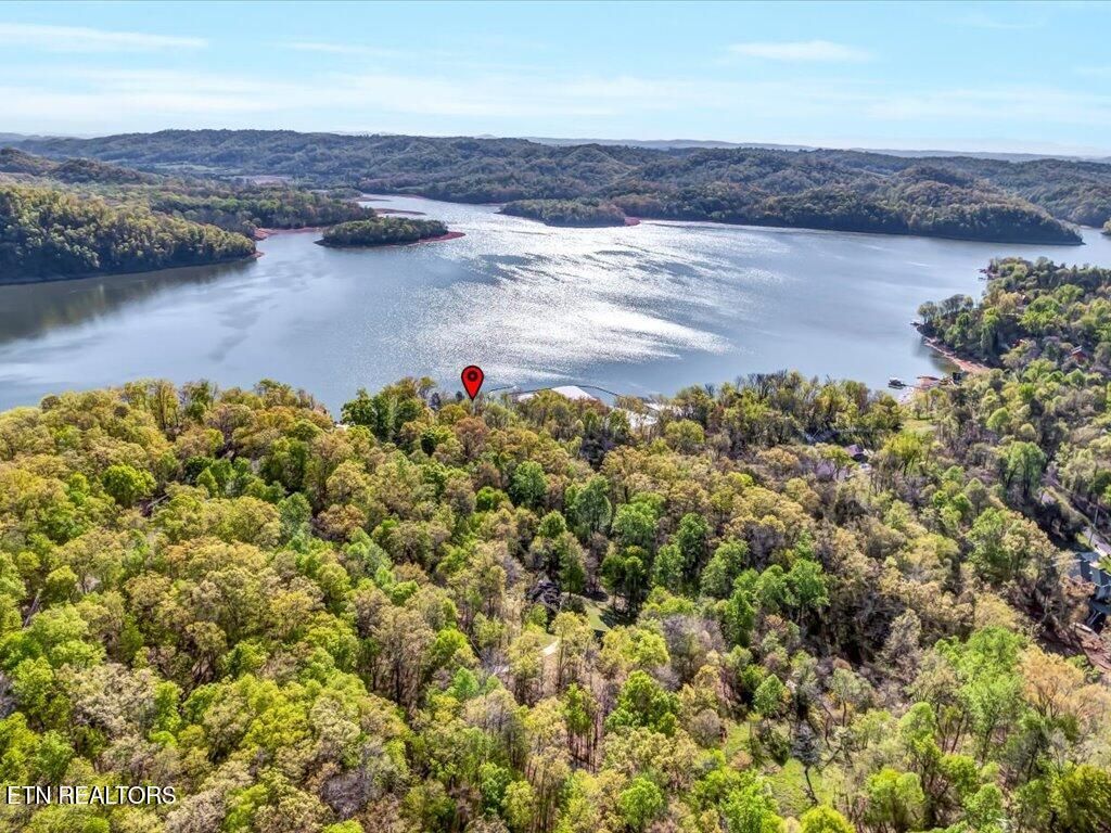 Photo of 351 Chelaque Way, Mooresburg, TN 37811 (MLS # 1300256)