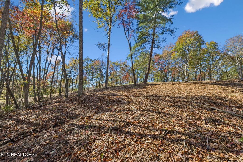 Photo of Sheep Ranch Rd., Robbins, TN 37852 (MLS # 1324751)