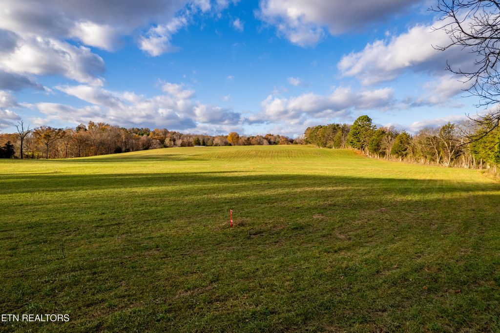 Photo of 1029 Oscar Best Rd, Maryville, TN 37803 (MLS # 1335132)