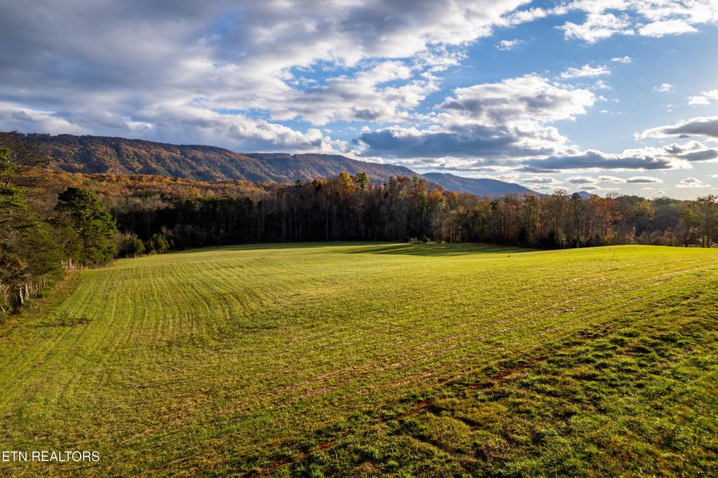 Photo of 1029 Oscar Best Rd, Maryville, TN 37803 (MLS # 1335132)