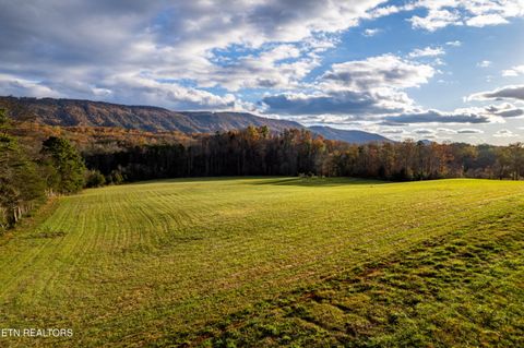 Photo of 1029 Oscar Best Rd, Maryville, TN 37803 (MLS # 1335132)