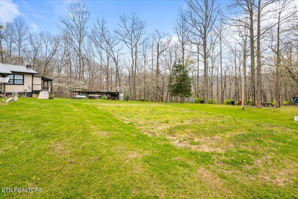 Photo of 439 Rogerston Rd, Clairfield, TN 37715 (MLS # 1334989)