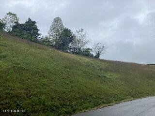 Photo of 553 Garnet Tr, New Tazewell, TN 37825 (MLS # 1354522)