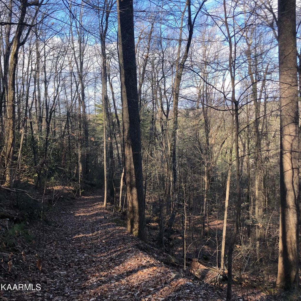 Photo of 450 Holder Cemetery Rd, Tellico Plains, TN 37385 (MLS # 1181004)