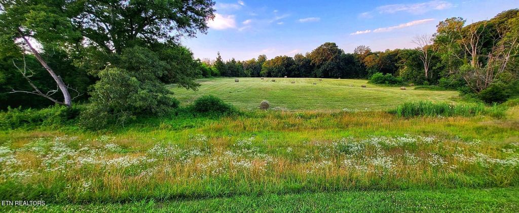 Photo of 6 Phillips Rd, White Pine, TN 37890 (MLS # 1281344)