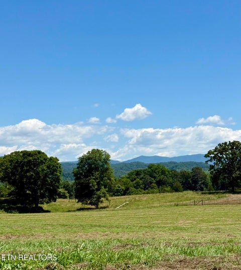Tiny photo for 880 Fairview Rd, Tellico Plains, TN 37385 (MLS # 1360179)