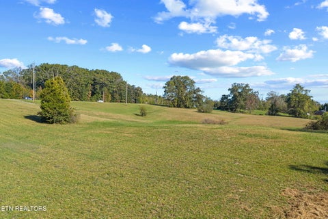 Tiny photo for Sinking Springs Rd, Clinton, TN 37716 (MLS # 1319163)
