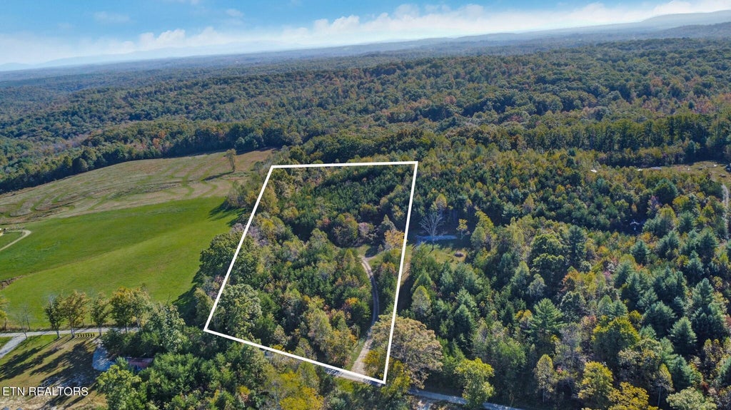 Photo of 272 Ernie Hurst Rd Rd, Deer Lodge, TN 37726 (MLS # 1279642)