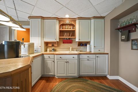 Tiny photo for 149 E Deer Walk Lane, LaFollette, TN 37766 (MLS # 1334589)