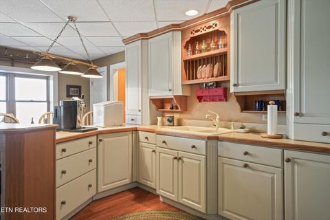 Tiny photo for 149 E Deer Walk Lane, LaFollette, TN 37766 (MLS # 1334589)