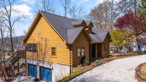 Tiny photo for 149 E Deer Walk Lane, LaFollette, TN 37766 (MLS # 1334589)