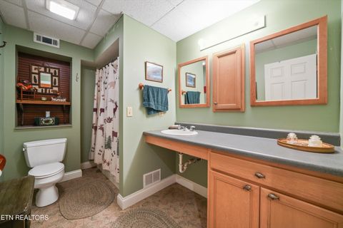 Tiny photo for 149 E Deer Walk Lane, LaFollette, TN 37766 (MLS # 1334589)