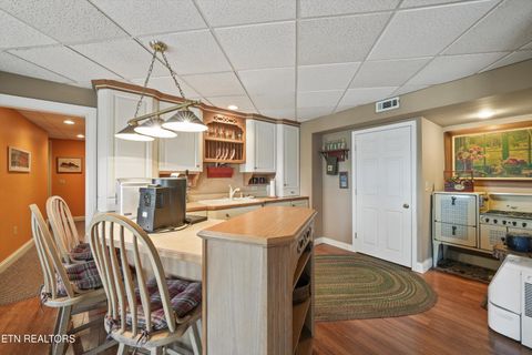 Tiny photo for 149 E Deer Walk Lane, LaFollette, TN 37766 (MLS # 1334589)