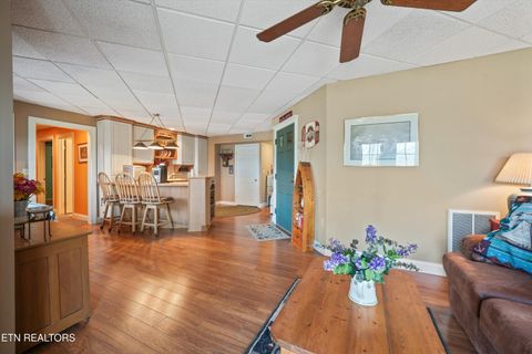 Tiny photo for 149 E Deer Walk Lane, LaFollette, TN 37766 (MLS # 1334589)