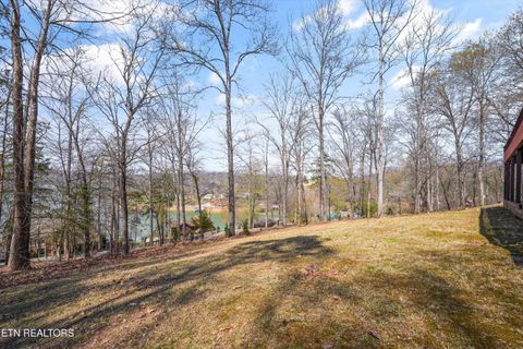 Tiny photo for 149 E Deer Walk Lane, LaFollette, TN 37766 (MLS # 1334589)