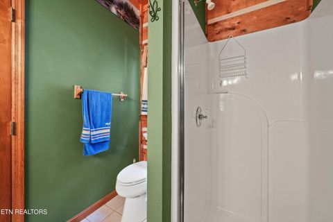 Tiny photo for 149 E Deer Walk Lane, LaFollette, TN 37766 (MLS # 1334589)