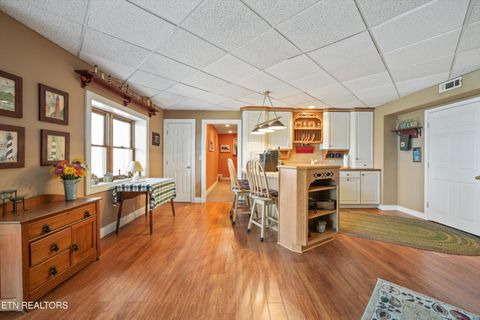 Tiny photo for 149 E Deer Walk Lane, LaFollette, TN 37766 (MLS # 1334589)