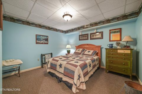 Tiny photo for 149 E Deer Walk Lane, LaFollette, TN 37766 (MLS # 1334589)