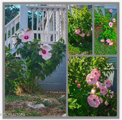 Tiny photo for 5724 Woodale Drive, Knoxville, TN 37912 (MLS # 1323113)