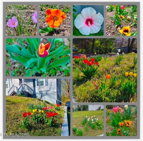 Tiny photo for 5724 Woodale Drive, Knoxville, TN 37912 (MLS # 1323113)