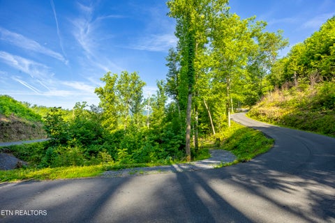 Photo of 628 Loop Rd, Gatlinburg, TN 37738 (MLS # 1343825)