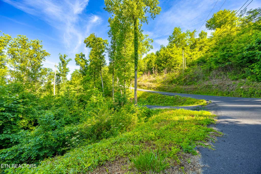 Photo of 628 Loop Rd, Gatlinburg, TN 37738 (MLS # 1343825)