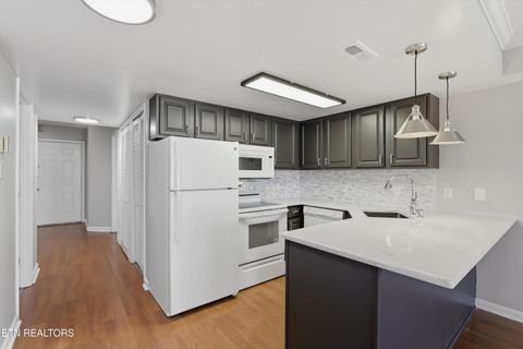 Tiny photo for 2201 Franklin Station Way #204, Knoxville, TN 37916 (MLS # 1330069)