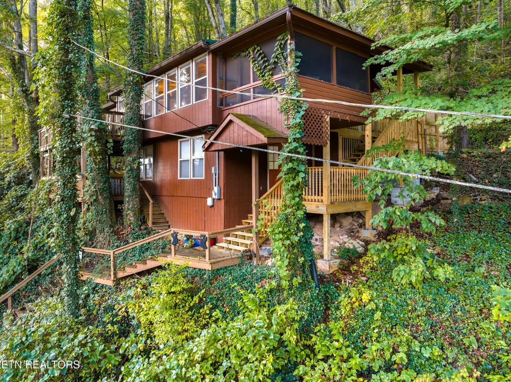 Photo of 103 Long Branch Rd, Townsend, TN 37882 (MLS # 1312165)