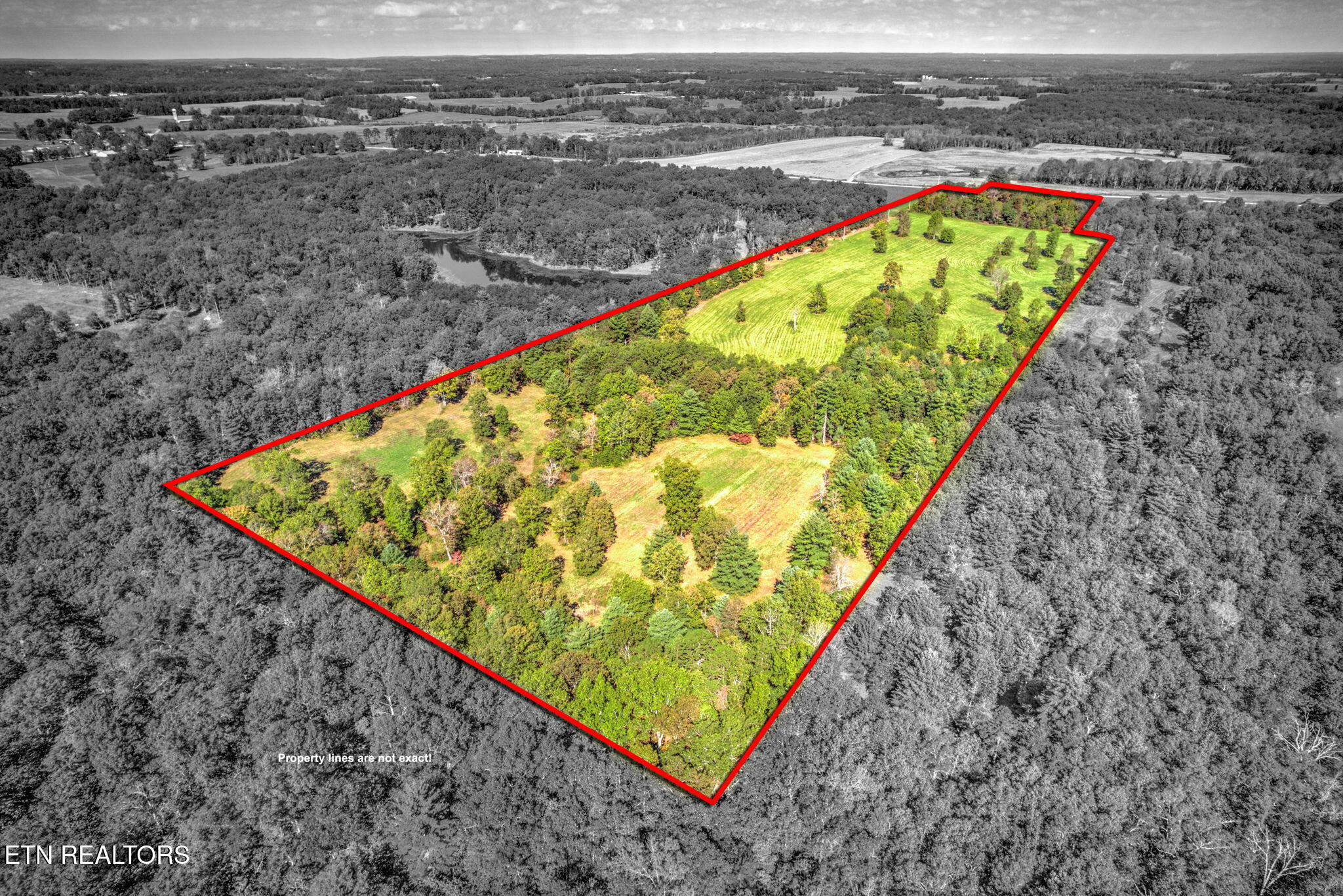 1423 Meister Hills Rd Rd