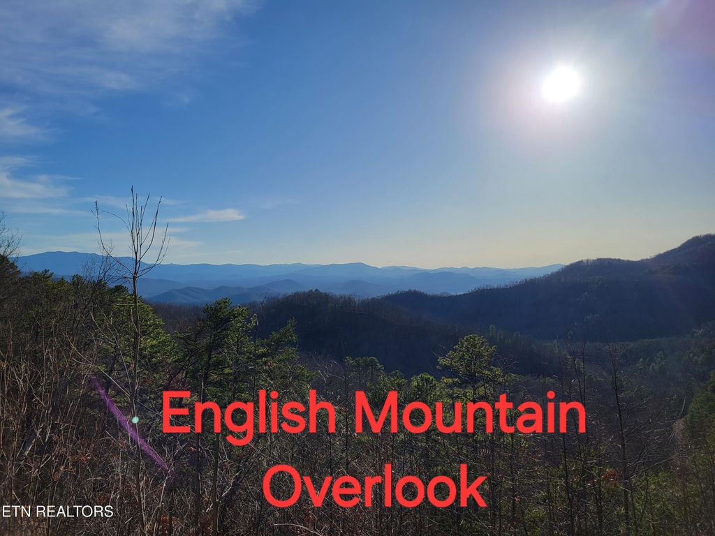 Photo of 157 Green Meadow Drive, Sevierville, TN 37876 (MLS # 1304818)