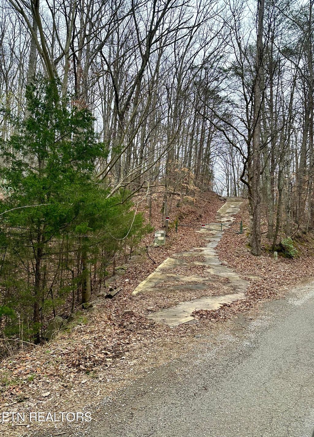 Photo of 243 Shady Rd, Oliver Springs, TN 37840 (MLS # 1254109)