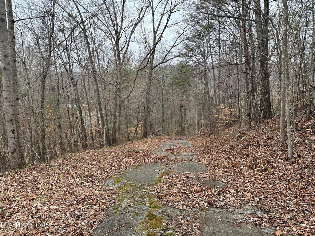 Photo of 243 Shady Rd, Oliver Springs, TN 37840 (MLS # 1254109)