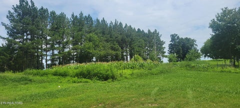 Tiny photo for Reed Rd, Ten Mile, TN 37880 (MLS # 1348749)